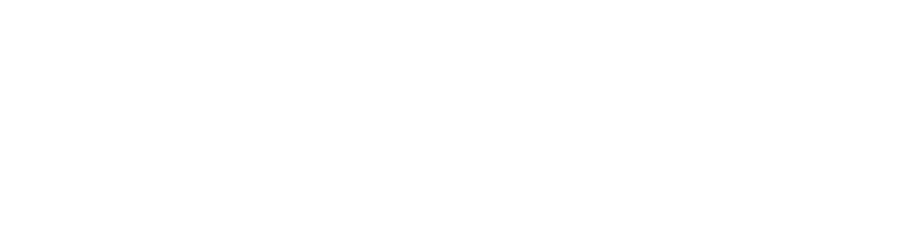 Payless Protection